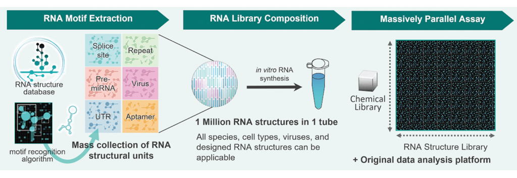 RNA構造ライブラリと化合物ライブラリを用いたプロファイリング手法